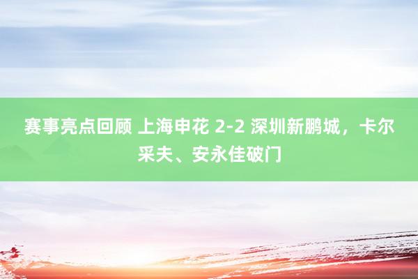 赛事亮点回顾 上海申花 2-2 深圳新鹏城，卡尔采夫、安永佳破门