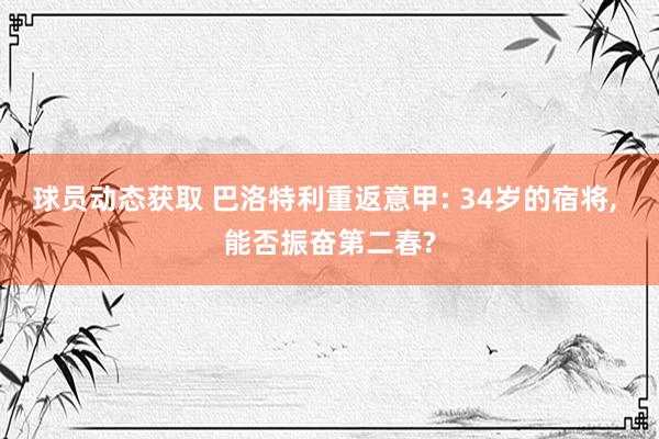 球员动态获取 巴洛特利重返意甲: 34岁的宿将, 能否振奋第二春?