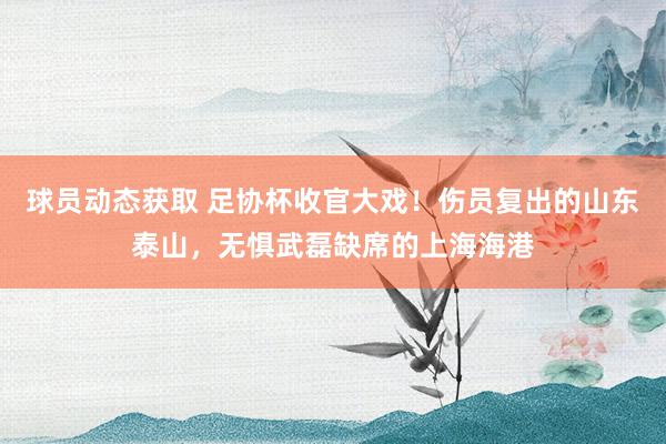 球员动态获取 足协杯收官大戏！伤员复出的山东泰山，无惧武磊缺席的上海海港