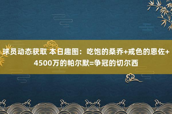 球员动态获取 本日趣图：吃饱的桑乔+戒色的恩佐+4500万的帕尔默=争冠的切尔西